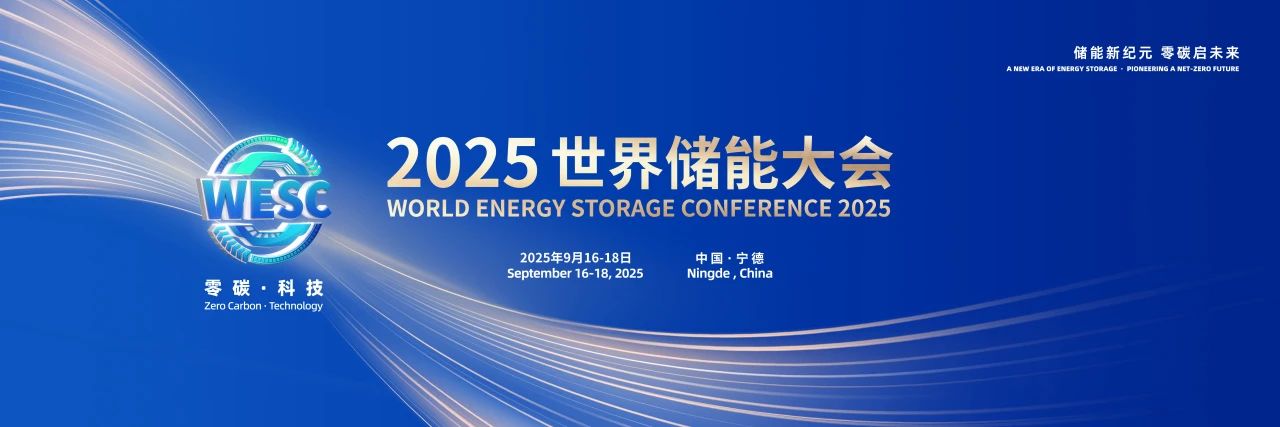 2025WESC | 嘉宾金句集锦（八） image