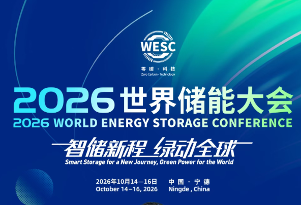 国际可再生能源署行动联盟主任伊莉娜确认出席WESC 2026 image